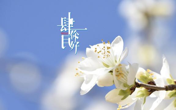 四月你好,人间四月天