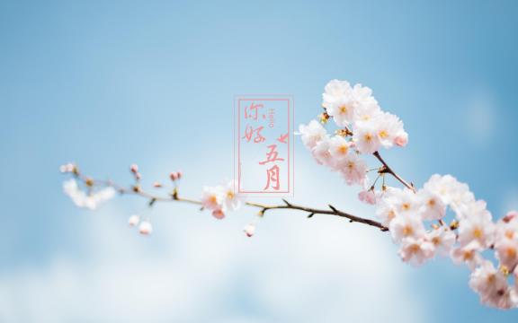 五月发朋友圈高质量励志暖心语录
