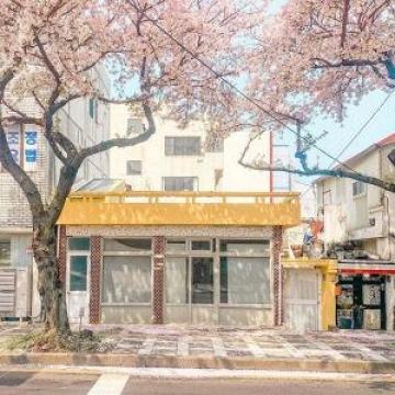 2020最火抖音头像唯美风景图像 樱花落下的速度是每秒5厘米