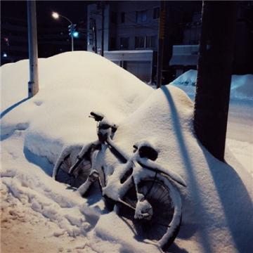 好看伤感的的风景头像2020唯美冬季雪景 感情的戏我没演技