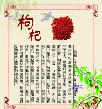 枸杞作用功效来袭