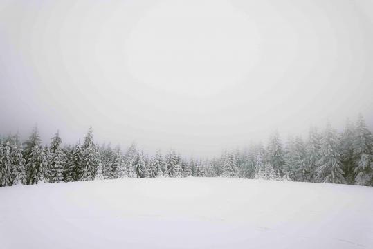 白雪皑皑的冬天