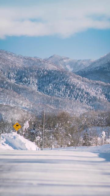 美丽的冬天雪景