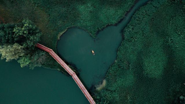 心形河流俯视摄影