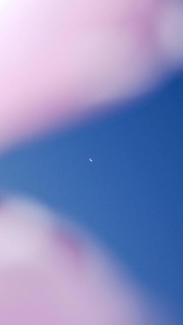 浪漫朦胧月亮景色