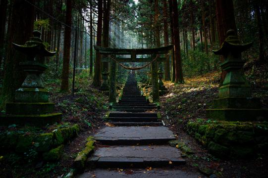 日本鸟居景色摄影