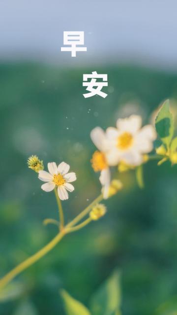 2021最新小清新早安配图