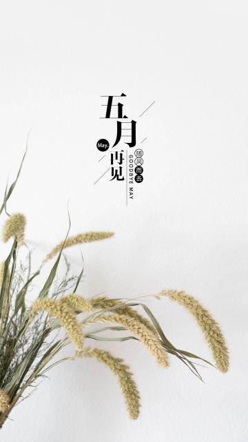 告别五月的背景图